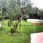 giardino retro 4